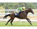 Carrera: G.P Beamonte Oaks Caballo: Sweet Caroline Monta: S.de Sousa